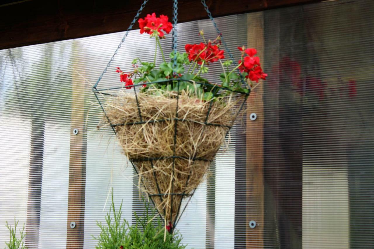 Ostoja Pod Tatrami Apartamento Poronin Exterior foto